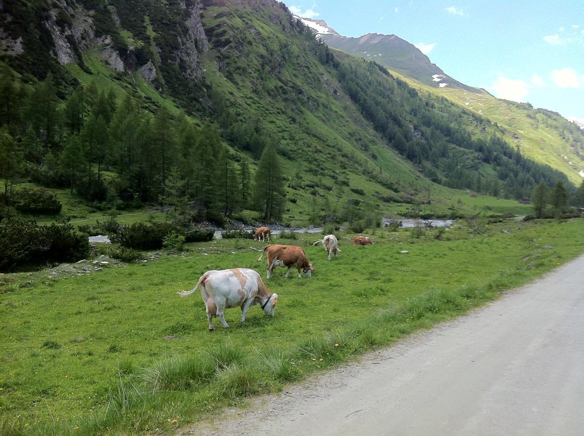Scol Sporthotel Grossglockner Kals-am Großglockner Eksteriør bilde